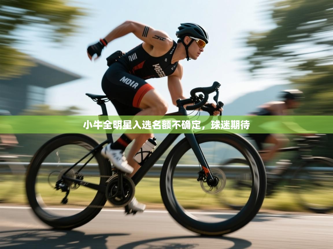 小牛全明星入选名额不确定，球迷期待