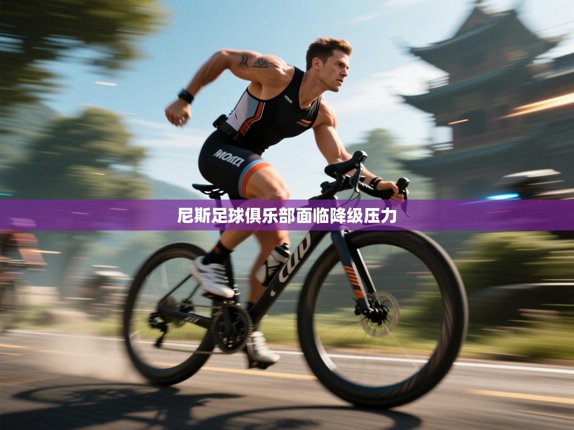 尼斯足球俱乐部面临降级压力