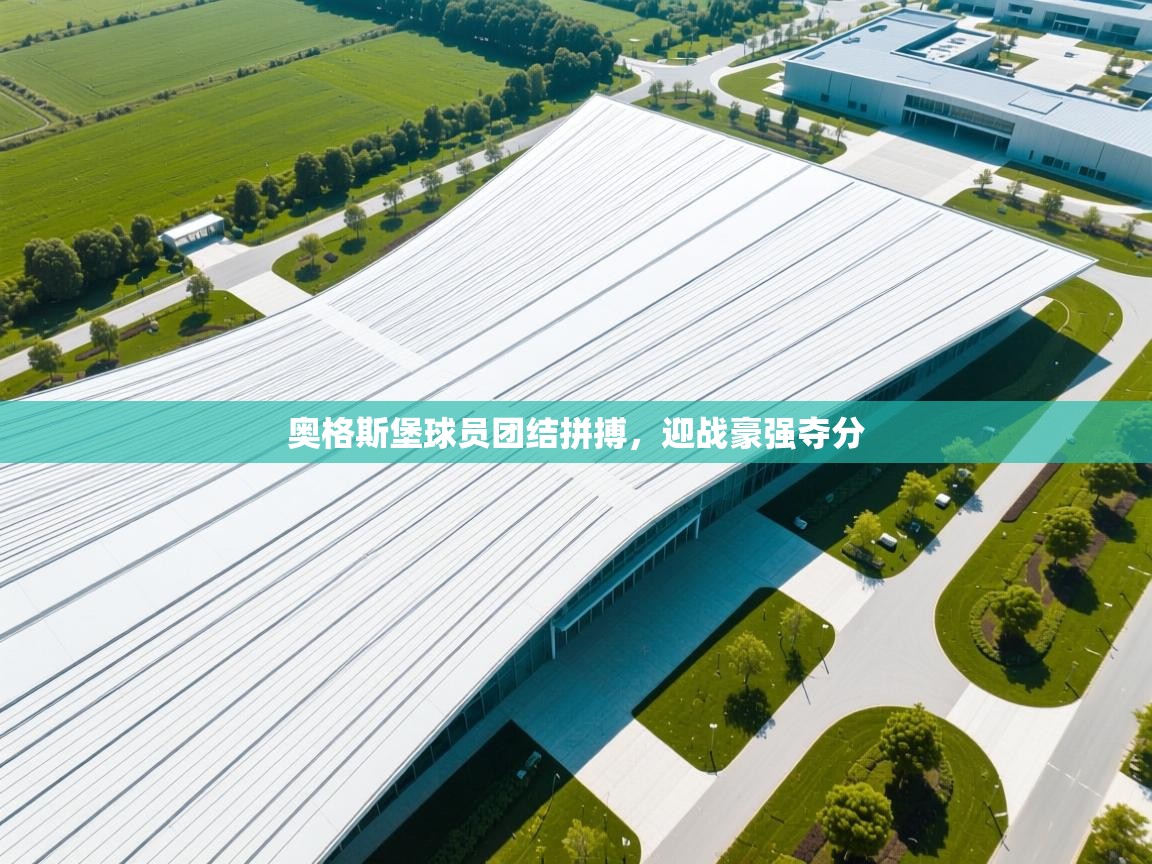 奥格斯堡球员团结拼搏,迎战豪强夺分 第1张