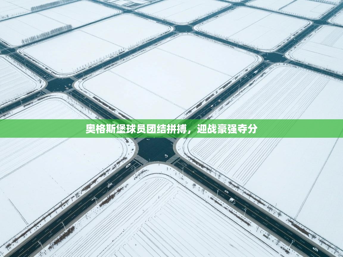 奥格斯堡球员团结拼搏,迎战豪强夺分 第2张