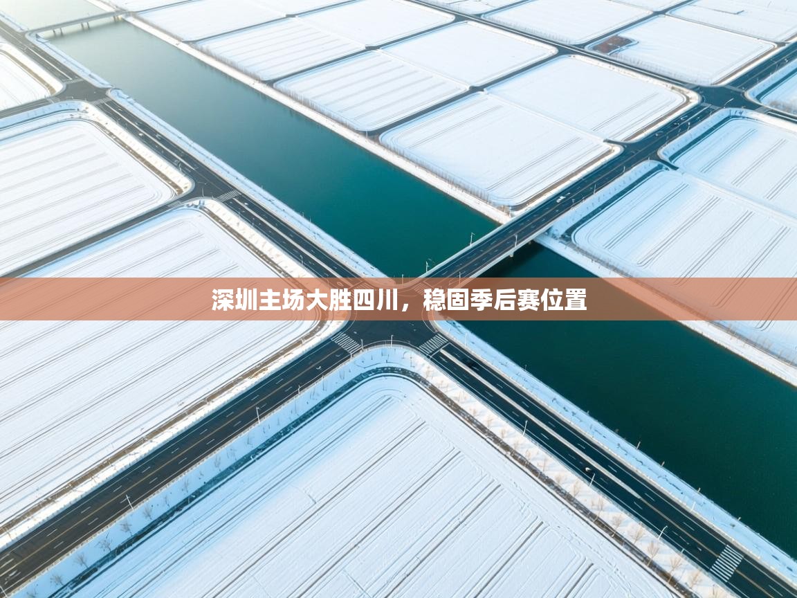 深圳主场大胜四川，稳固季后赛位置