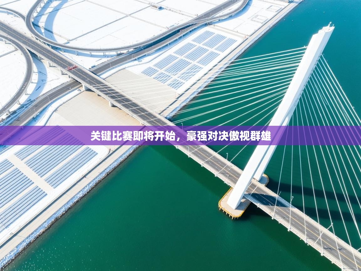 关键比赛即将开始，豪强对决傲视群雄  第2张