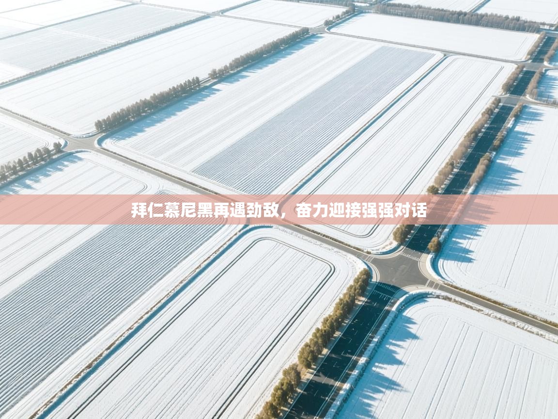 拜仁慕尼黑再遇劲敌，奋力迎接强强对话  第2张